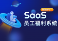 鼎赞SaaS系统：助力企业打造高效员工福利系统平台